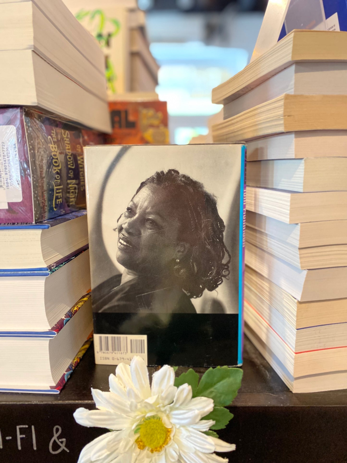 Jazz by Toni Morrison