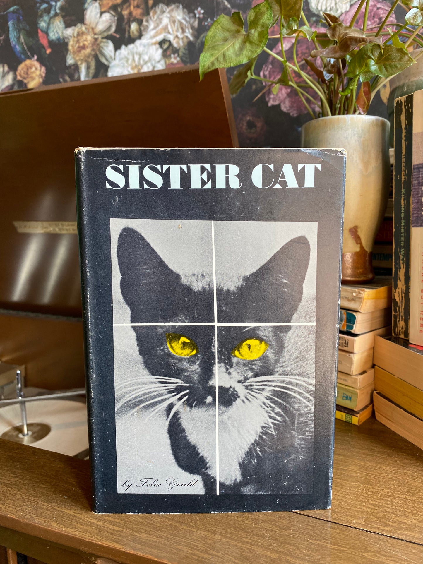 Sister Cat by Felix Gould