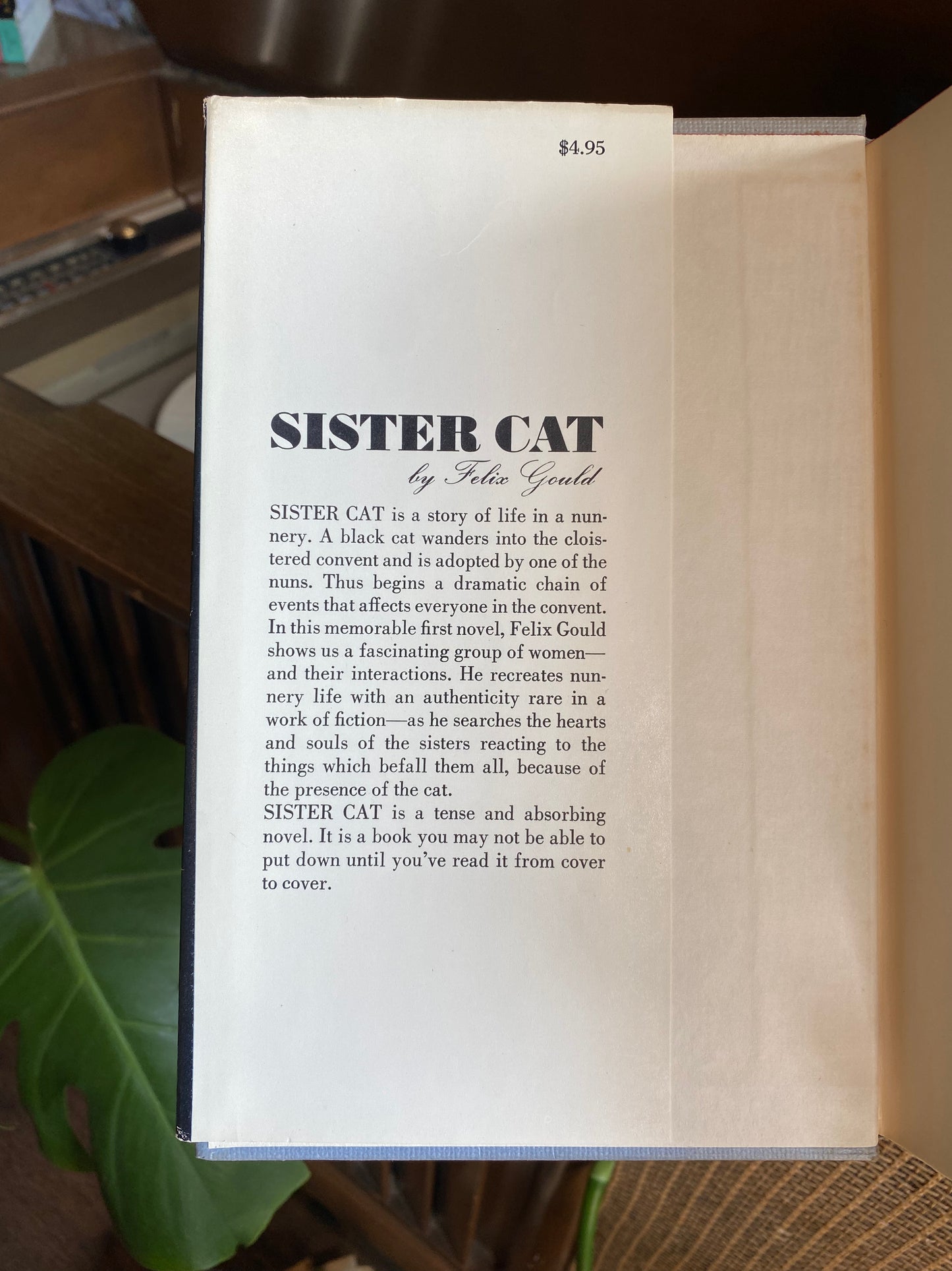 Sister Cat by Felix Gould